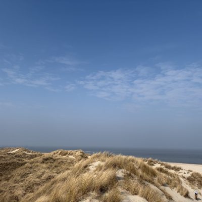 IMG_2508